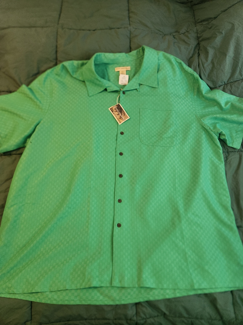 Men's Short-Sleeve Casual Button-Down Shirt — Green
